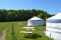 Les Colombines