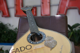 JARDIM AMALIA