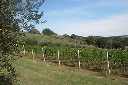 Podere Caldaruccio Agriturismo La Pineta