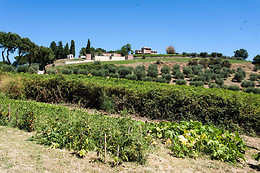 Podere Caldaruccio Agriturismo La Pineta
