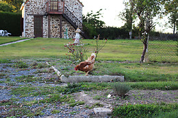 Maison MooMoon's