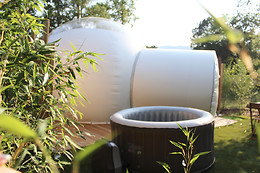 Bulles en forêt