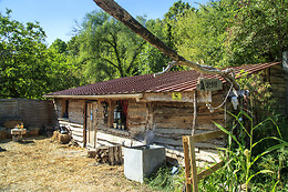 La cabane aux loups