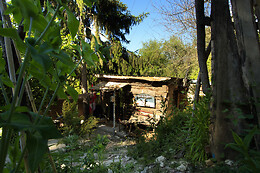 La cabane aux loups