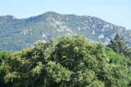 Les hébergements insolites Catalans les gîtes de Lilou