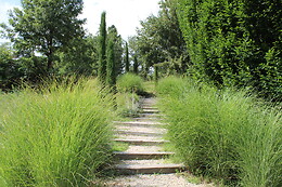 LA CAMPAGNE ST LAZARE