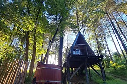 Les cabanes de roquehort
