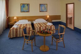 Top Hotel Praha