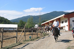 Agriturismo Carovane