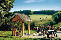 Complexe Hôtelier du Donon - Restaurant Velleda