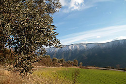 CASA ROCA