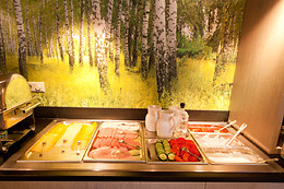 Fletcher Hotel-Restaurant Het Veluwse Bos (HOTEL)