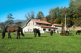 Agriturismo Carovane