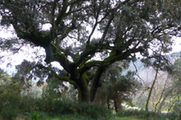 RUTAS XANZÁ