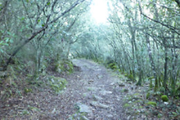 RUTAS XANZÁ