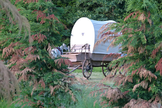 La Ferme Aventure - photo 11
