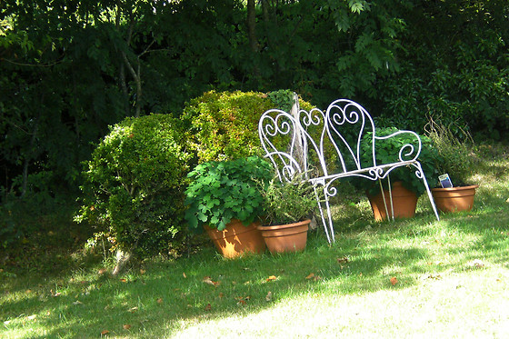 La Pommeraie 27 - photo 4
