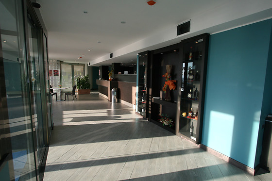Hotel Ancora - photo 8