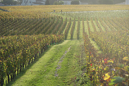 La villa du château Belloy