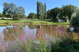Camping de l'Etang du Pays Blanc