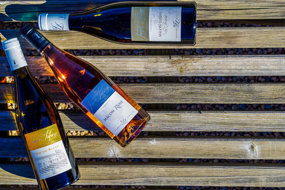 Domaine Joseph Lafarge - photo 20