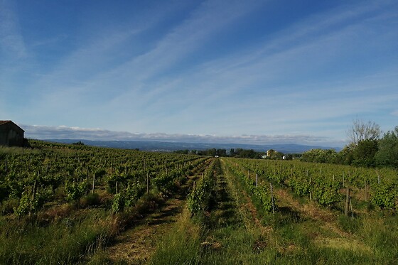 Chambre d'hôtes à Arzens - photo 1