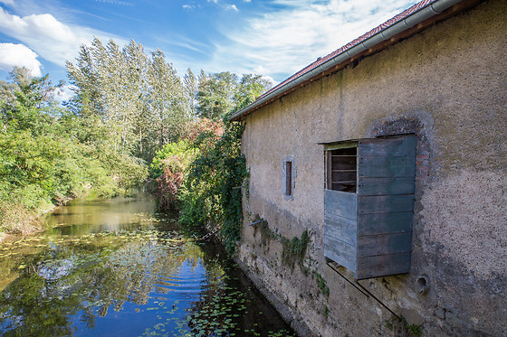 Moulin de Montferney - photo 11