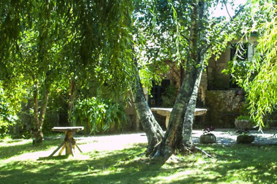 Casa Campo das Bizarras - photo 2
