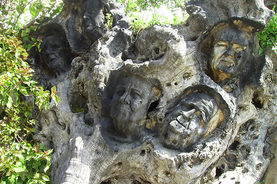 LA POSADA DEL RECOVERO - photo 14