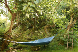 The Nest by Cooking and Nature
