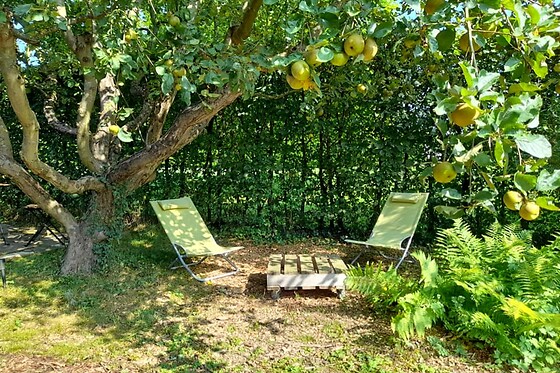 L'Echappée au jardin - photo 7