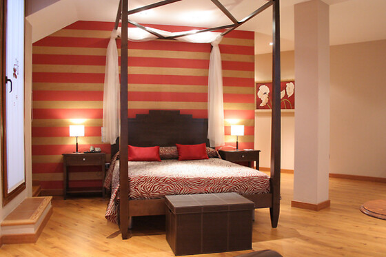 HOTEL CAMPOS DE BAEZA - photo 4