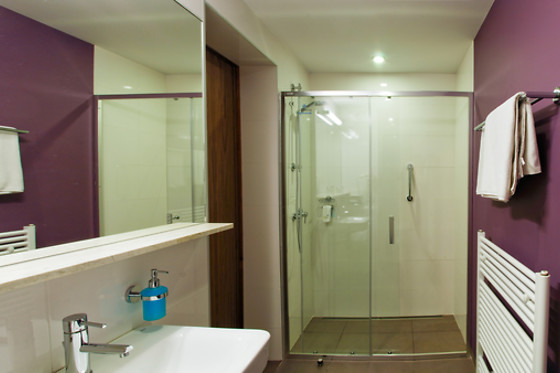 Hotel Carol - photo 15