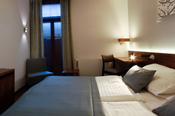 Hotel Carol - photo 9