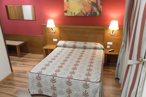 HOTEL MILAGROS RÍO RIAZA - photo 3