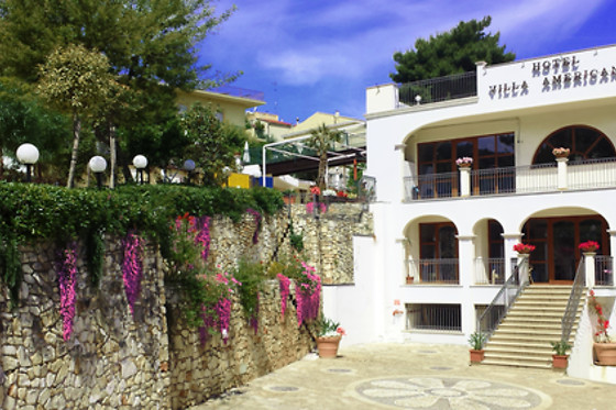 Hotel Villa Americana - photo 4