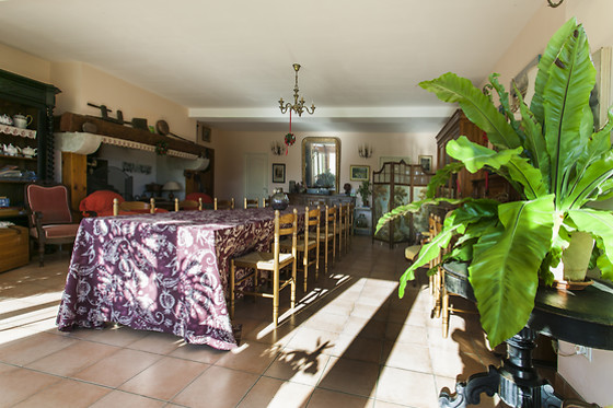 Domaine de la Trille - photo 8