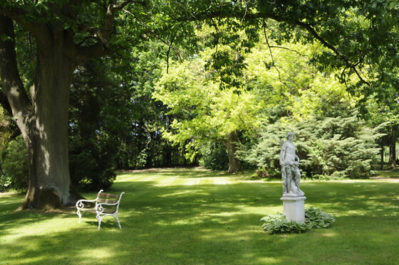 Kasteel Van Nieuwland -  De Postiljon - photo 9