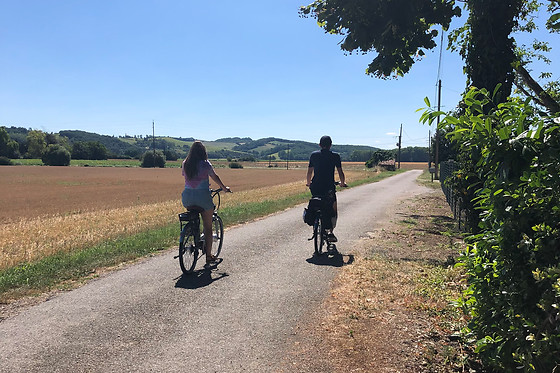 Le Vigné - photo 5