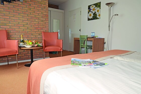 Fletcher Landhotel De Borken (HOTEL) - photo 8