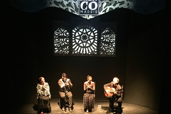 TEATRO FLAMENCO MADRID - photo 3