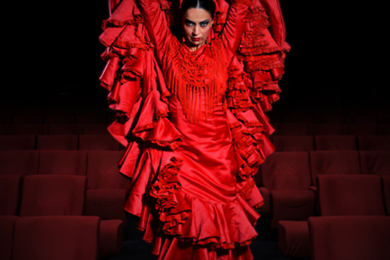 TEATRO FLAMENCO MADRID - photo 10
