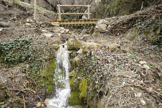 CASA TOMASO - photo 3