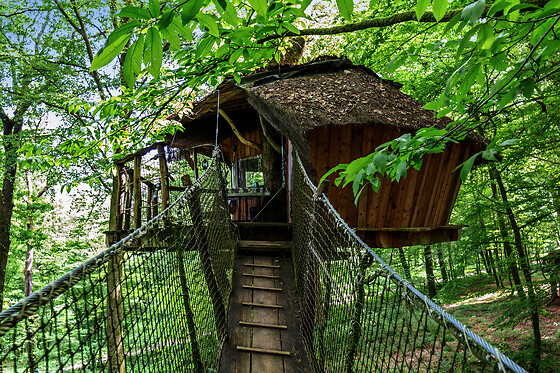 L'Arbre à Cabane - photo 1