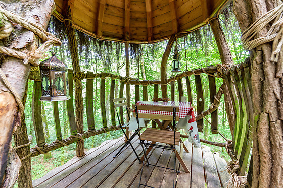 L'Arbre à Cabane - photo 11