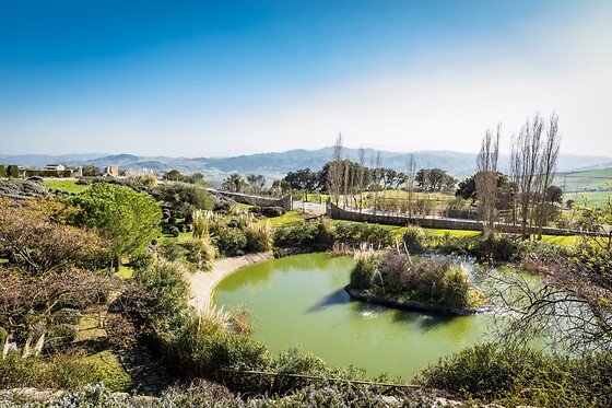HOTEL SPA & EVENTS FUENTE DEL SOL - photo 5