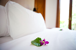 HOTEL EL JISU