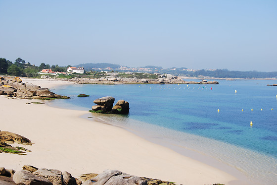 HOTEL BOSQUE MAR - photo 13