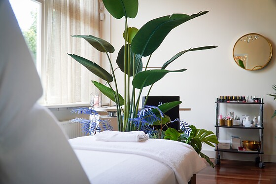 Blue Diamonds Health and Beauty Club - photo 3