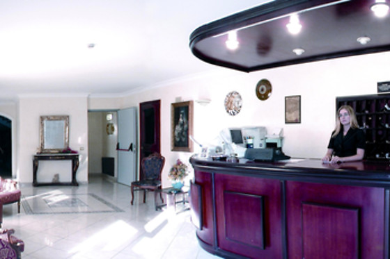 Hotel Alceste - photo 5